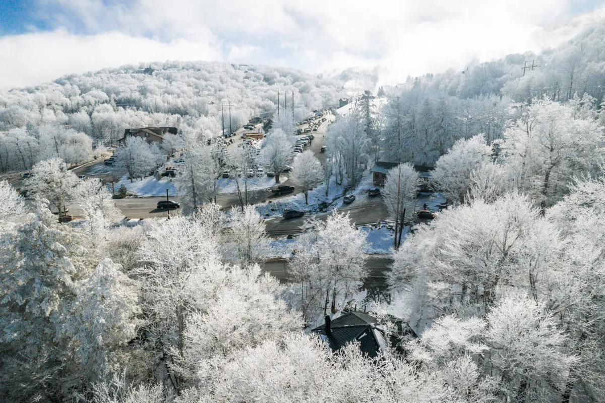A sweeping view of snow-covered trees, a winding road, parked vehicles, and distant mountains. The serene winter setting evokes the sense of adventure and tranquility one experiences at Beech Mountain, with visible roads highlighting the need for AWD/4WD access during the snowy months.