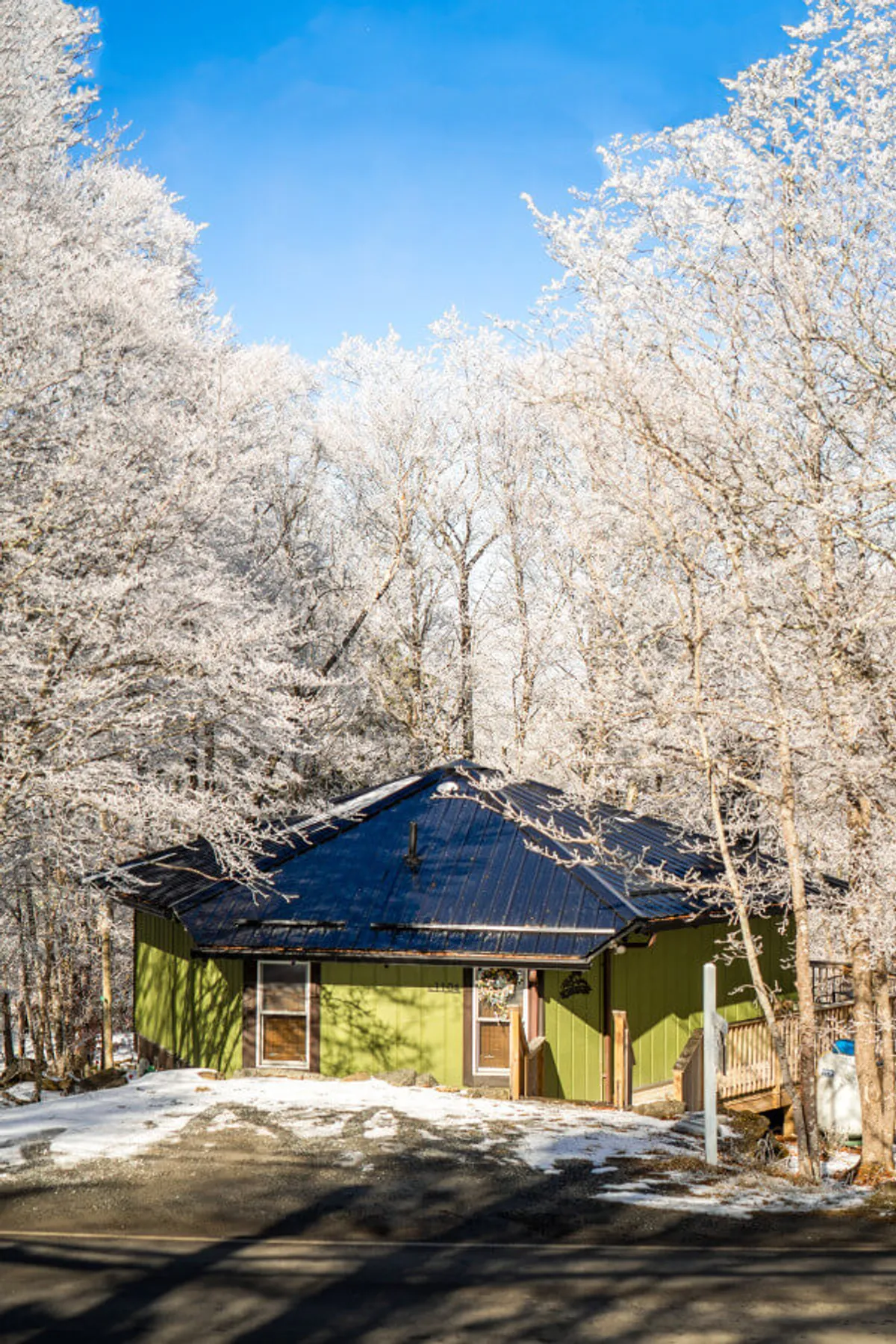 This exterior shot captures the green house with a black roof, surrounded by frosted trees, set against a tranquil mountain backdrop. The porch and natural setting invite guests to imagine stepping out for walks or unwinding outdoors with their pets.